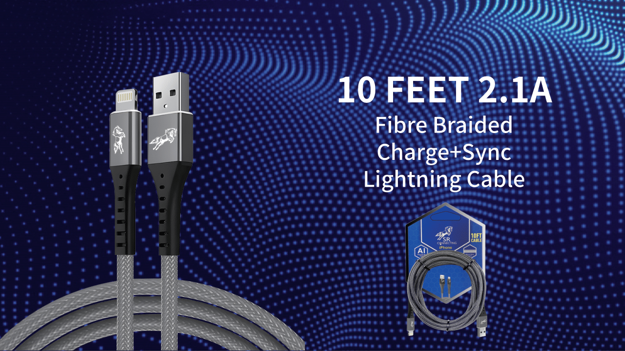 10 FT CABLE LIGHTNING