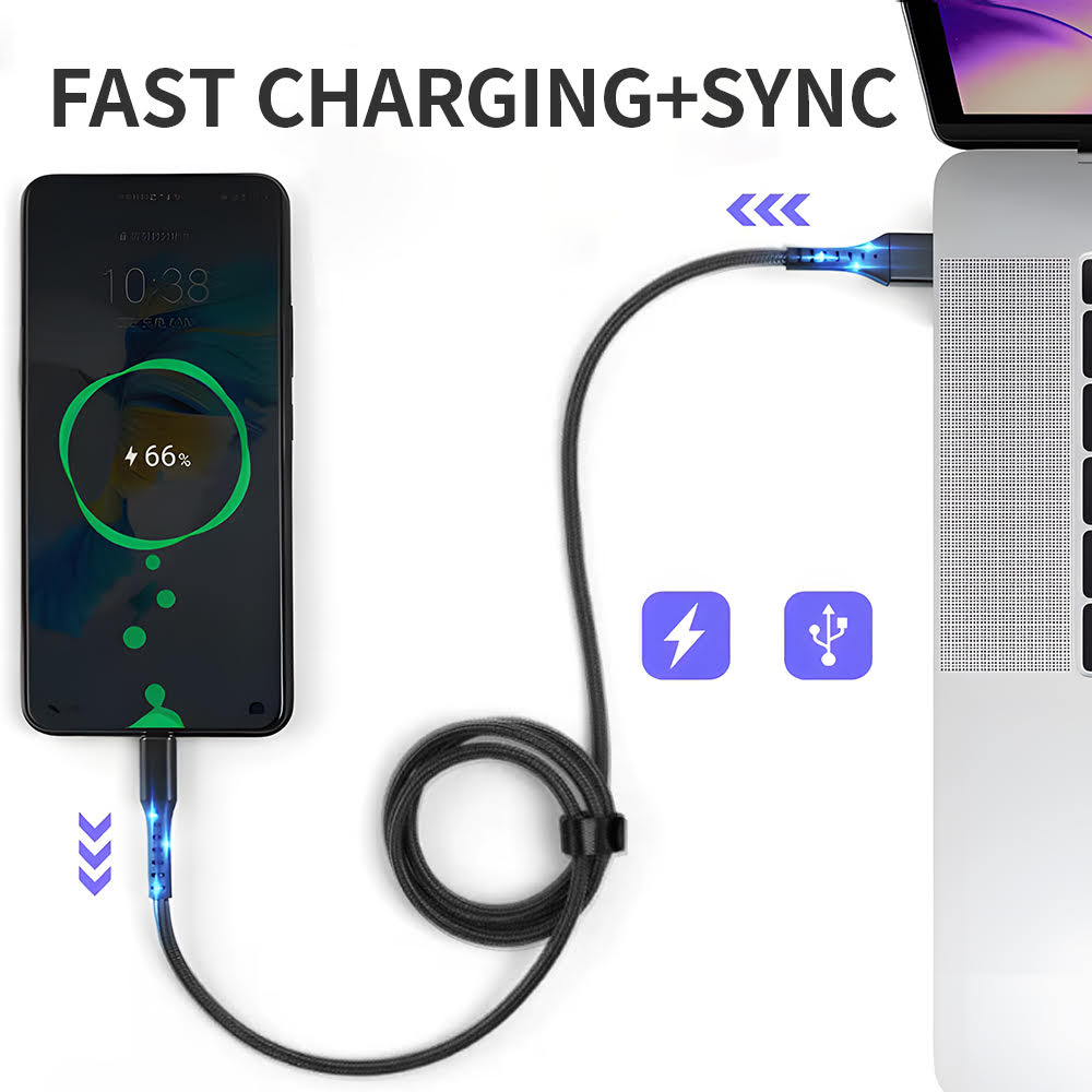 10FT Cable-Type C to Type C
