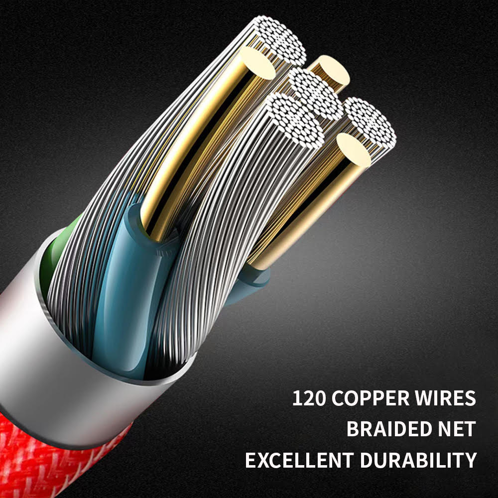 10FT Cable-Type C to Type C